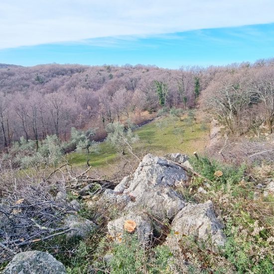 Property Featured Image