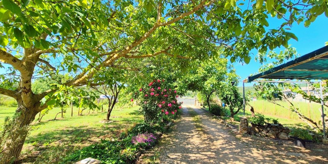 Property Featured Image