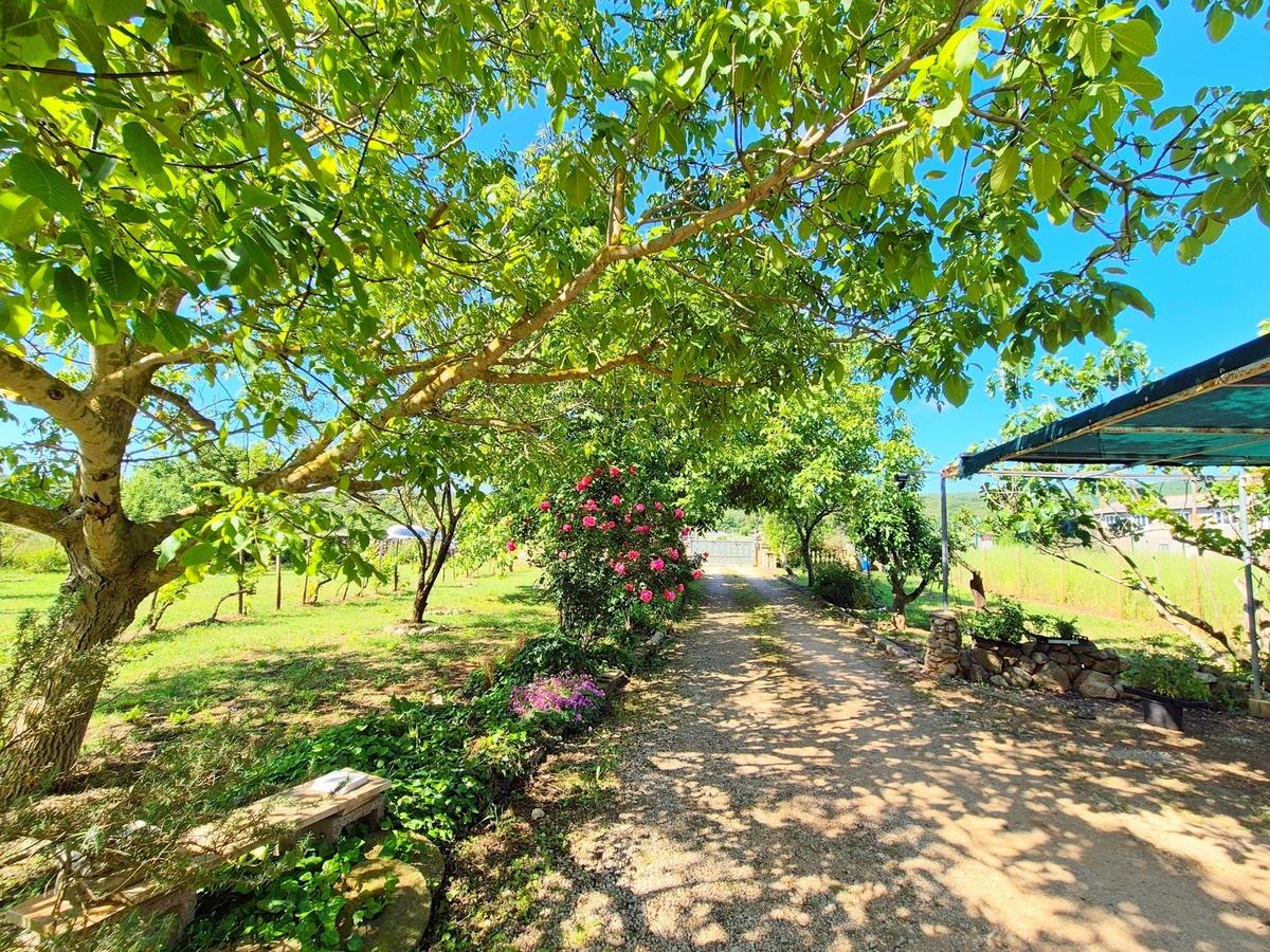 Property Featured Image